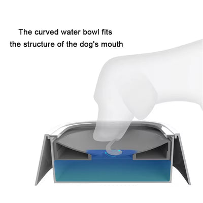 Spill-Free Floating Pet Water Bowl - Non-Wet Design for Dogs and Cats